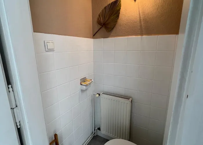 Rustic In Downtown Of Apartament *