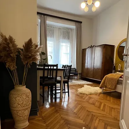 Apartament Rustic In Downtown Of
